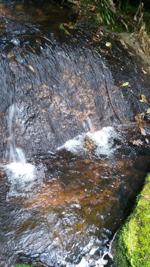 Chacara Da Cascata Casa de férias Campos do Jordão