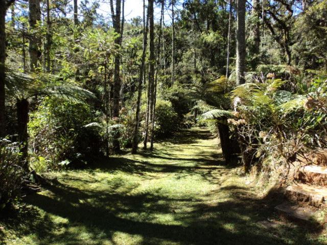 Chacara Da Cascata Casa de férias